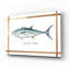 «Bluefin Tuna on White» par Cindy Jacobs, art mural en verre acrylique-1985901928