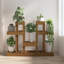 Alvester Plant Stand-79029006