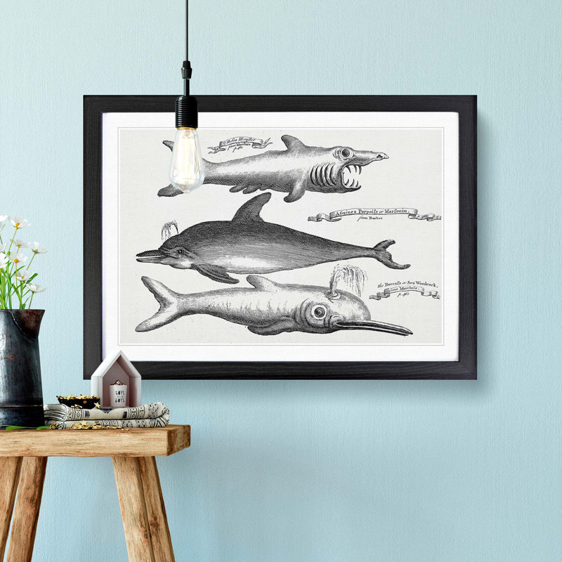 Shark and Dolphins by Thomas Astley - Picture Frame Drawing Print, Black Framed, 27cm H x 36cm W x 2cm D