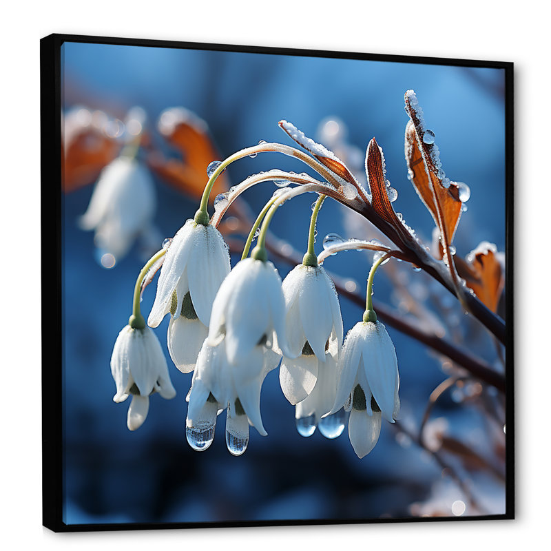 Décoration murale Frost Snowdrop Flower II - Snowdrops, Cadre flottant noir, 16" H x 16" W