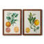 Orange de Malte - ensemble de 2 reproductions d'art-2074002780-2074002783-2070024442