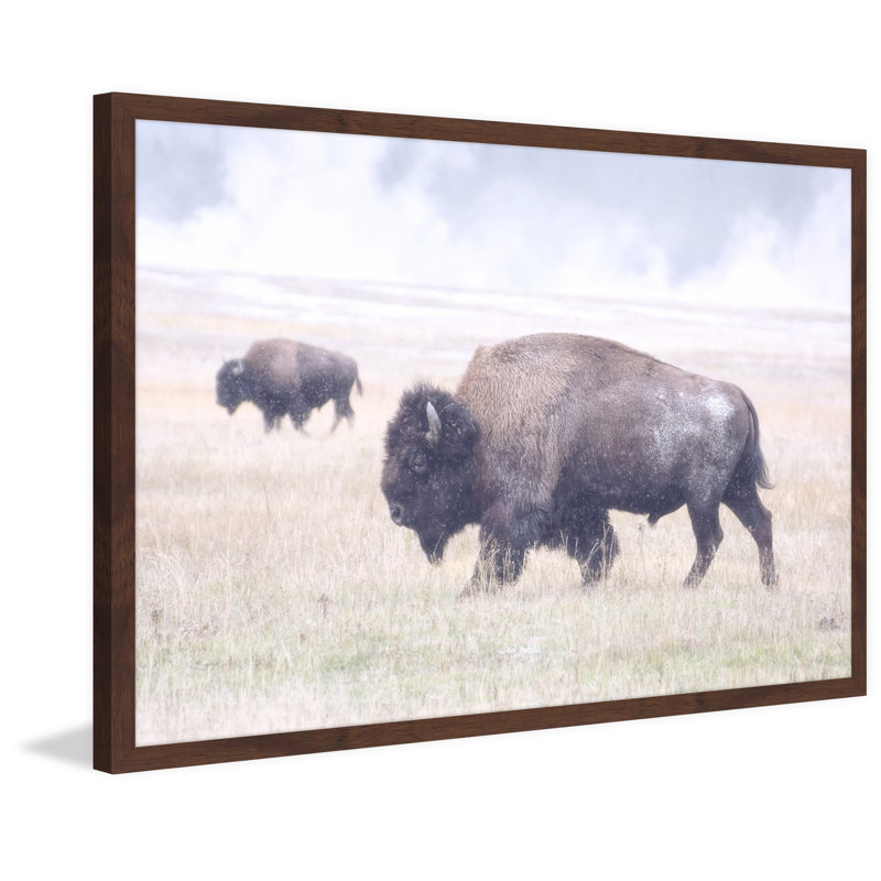 Parvez Taj - Single Picture Frame Print, 41cm H x 61cm W x 3.81cm D