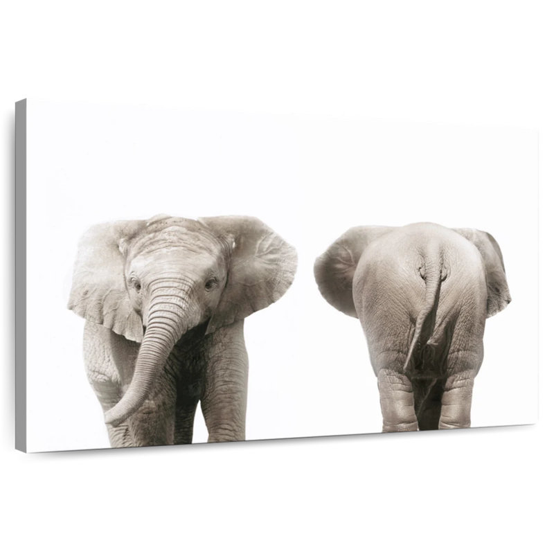 Elephant Front And Back Portrait, 34" H x 51" W