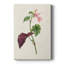 Pretty Pink Botanicals VI - galerie sur mesure