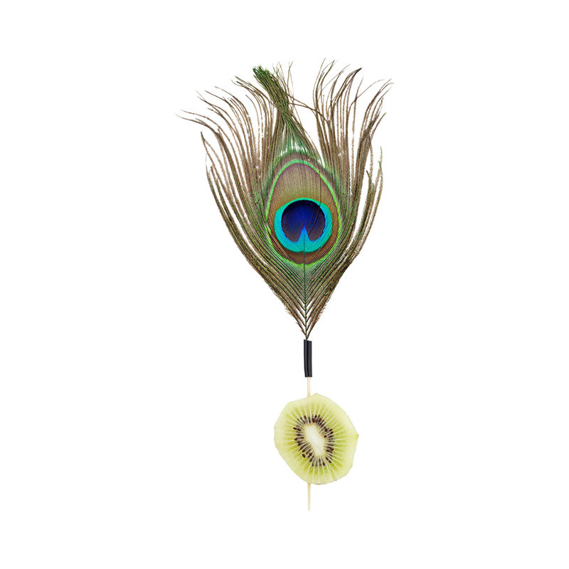 Bamboo Picks
