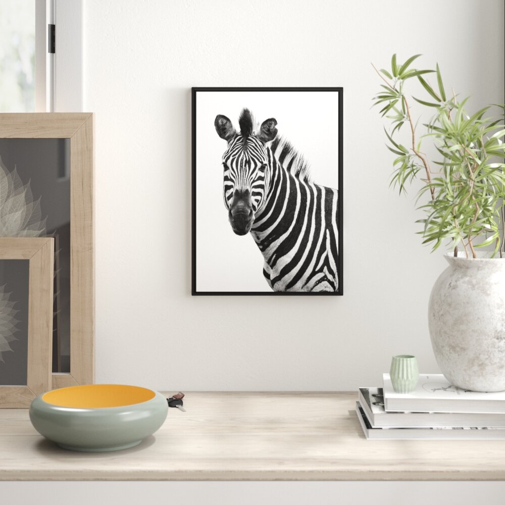 Gerahmter Fotodruck Portrait of a Zebra