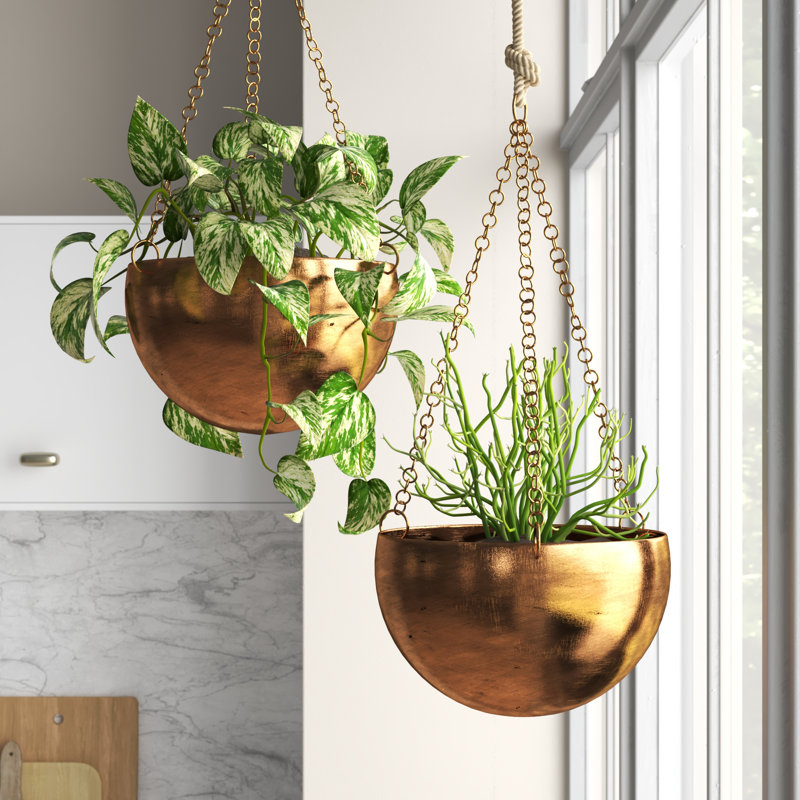 Benally Iron Hanging Dome Wall Planter, Gold