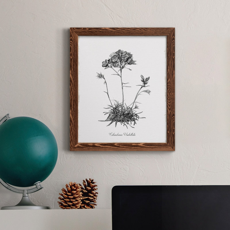 Simply Caladrinia - Toile encadrée de qualité supérieure - prête à être accrochée, H 37,5 po x l 27,5 po x P 1,5 po, Érable