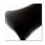 Coming Alive After Dark Print by Samerra