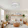 19.6'' Ceiling Fan with Light Kit and Remote Control Included