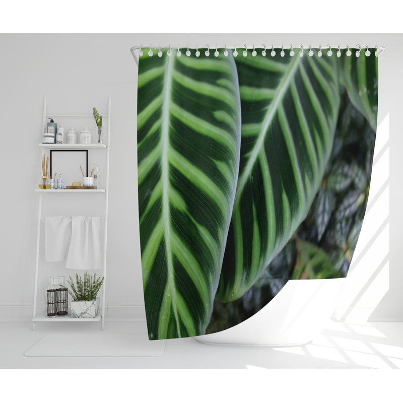 Elkmar 13 Piece Polyester Shower Curtain Set