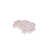 Rose est en rupture de stock