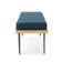 Regenia Entryway Bench Upholstered Bench End Of Bed Bench Accent Bench