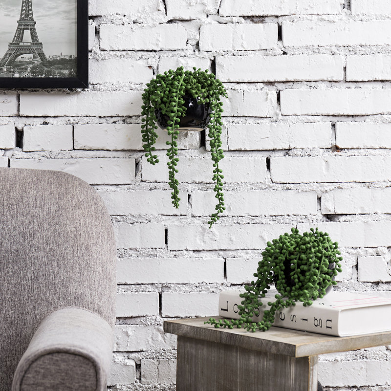 2 Piece Artificial Succulent in Pot Wall Décor Set, Black