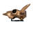 Steer Skull Door Knocker