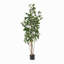 ARBRE DE LAURIER ARTIFIQUE 180CM 180CM