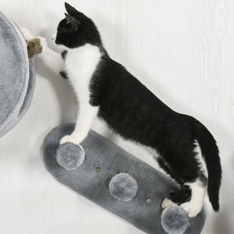 Cat Perch