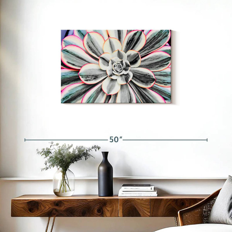 Succulent fluorescent Harnek