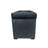 Niambi Polyester Upholstered Storage Bench-1045313849