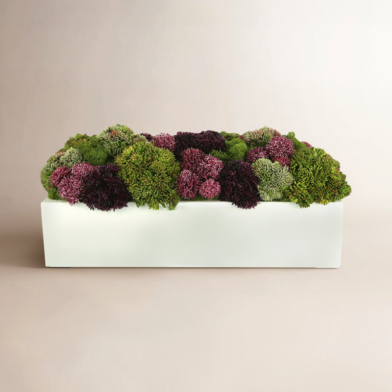 Succulent Sedum in Fiberstone Planter, 8" H x 18" W x 10" D, Rectangular
