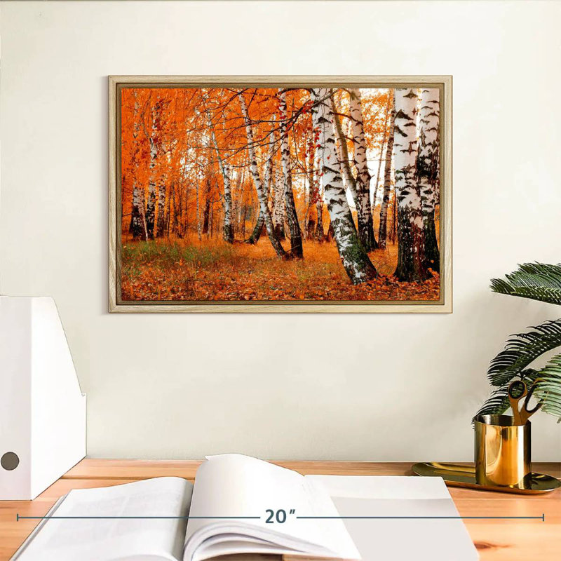 Forêt de bouleaux orange, Cadre flottant en bois naturel, 13 po x 9 po