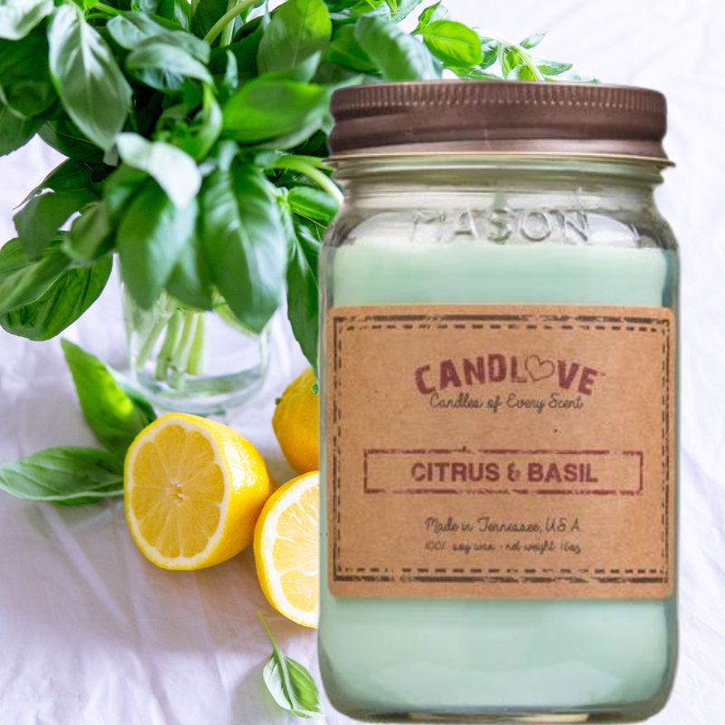 Bougie parfumée Citrus Basil