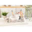 Catherine Lansfield Dramatic Floral Measuring Cups