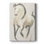ANIMALS Series CCGCL-Gallery Cavas-1667968641