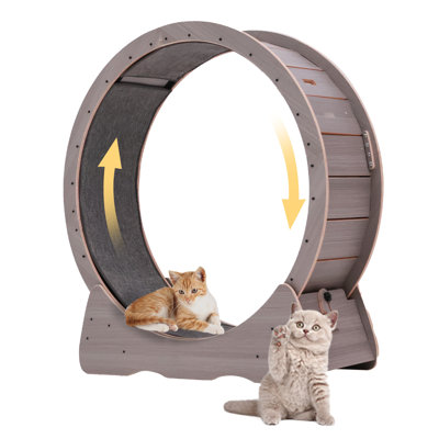 39” Large Cat Running Wheel