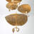 Lagatto 6 light Chandelier in Bronze