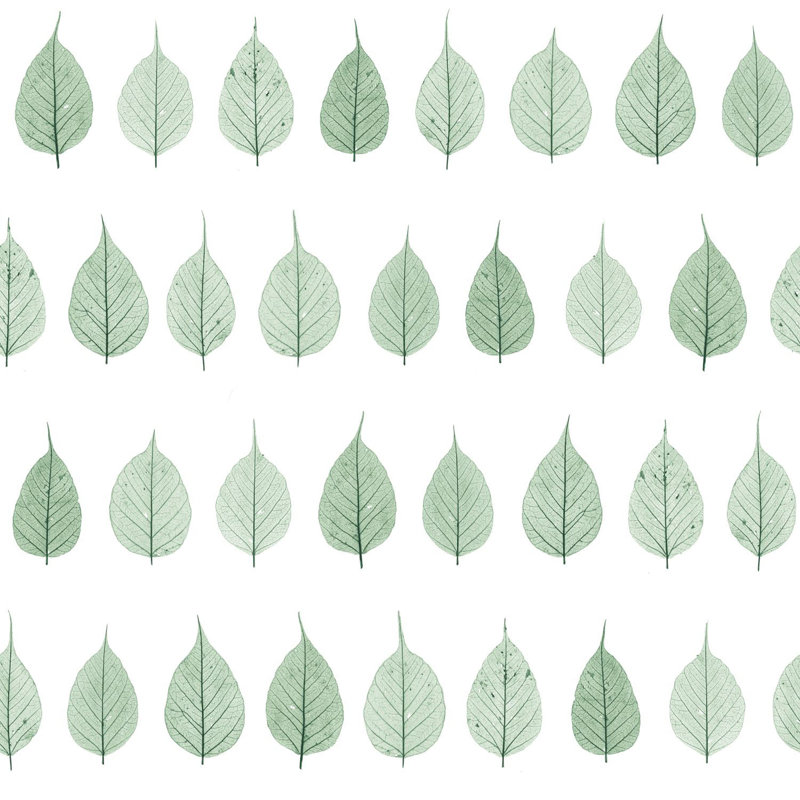 Rouleau de papier peint L 33 pi x l 20,5 po Forid Leaves, Vert clair / blanc