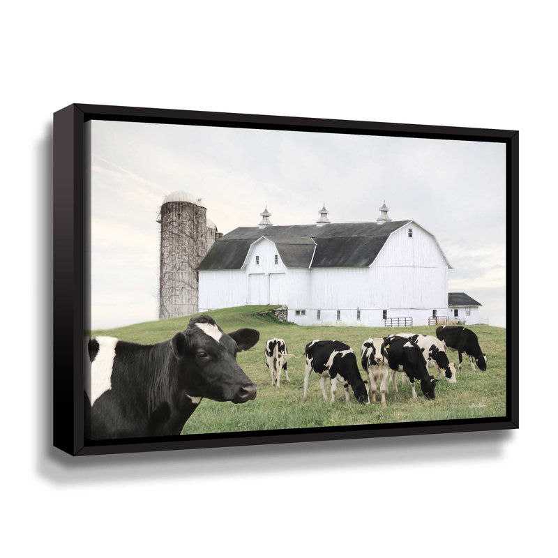 Cow Gathering - Photographie sur toile, Cadre noir, H 8 po x l 10 po x P 2 po