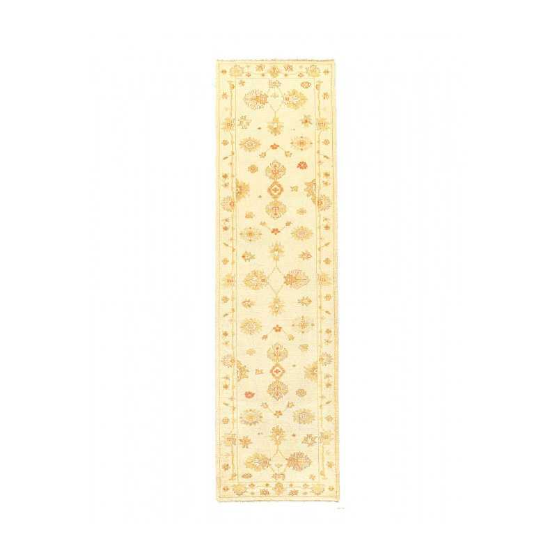 Guitterez One-of-a-Kind 9'7'' X 2'8'' Runner Area Rug Ivory