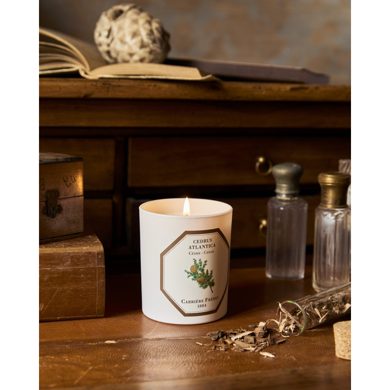 Cedar Candle