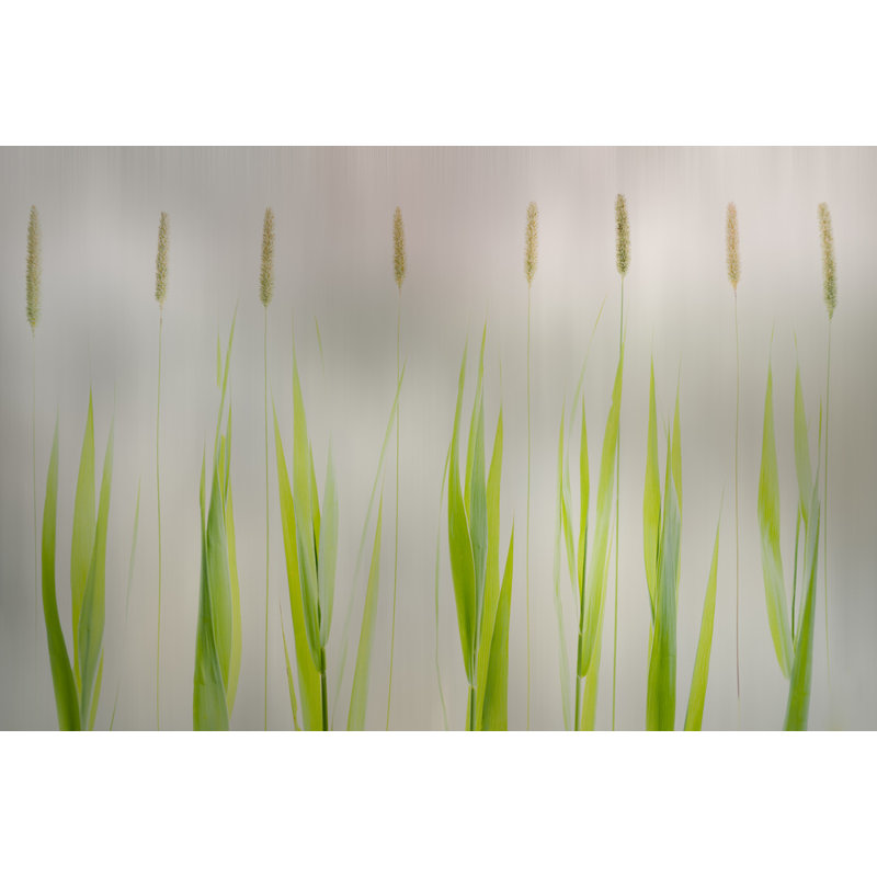 Wrapped Canvas Print, 50.8cm H x 76.2cm W