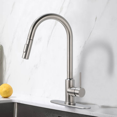 NOVEL Pull Down Kitchen Faucet