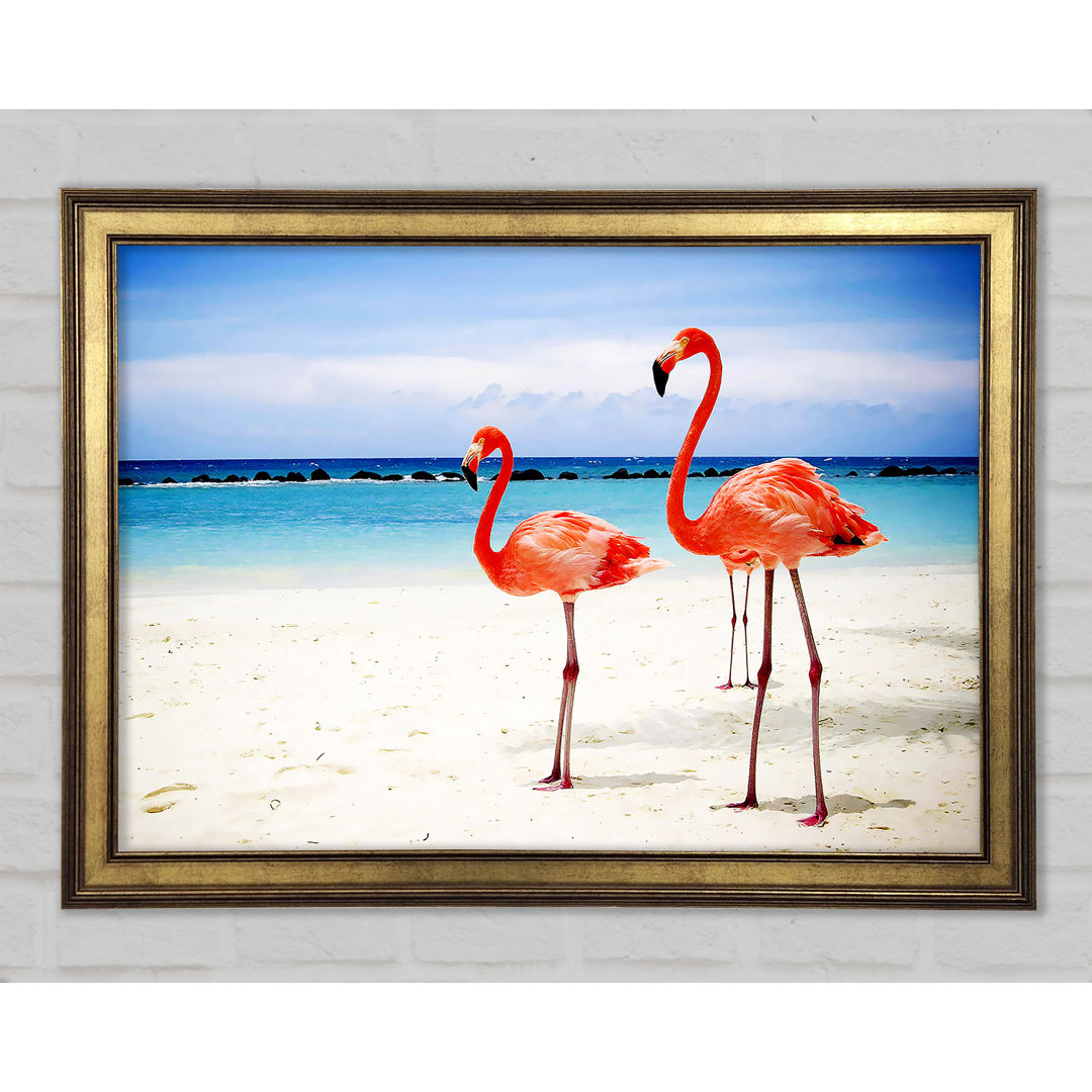 Flamingo Paradies - Druck