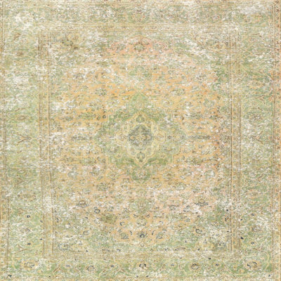 Evelien Oriental Indoor Rug