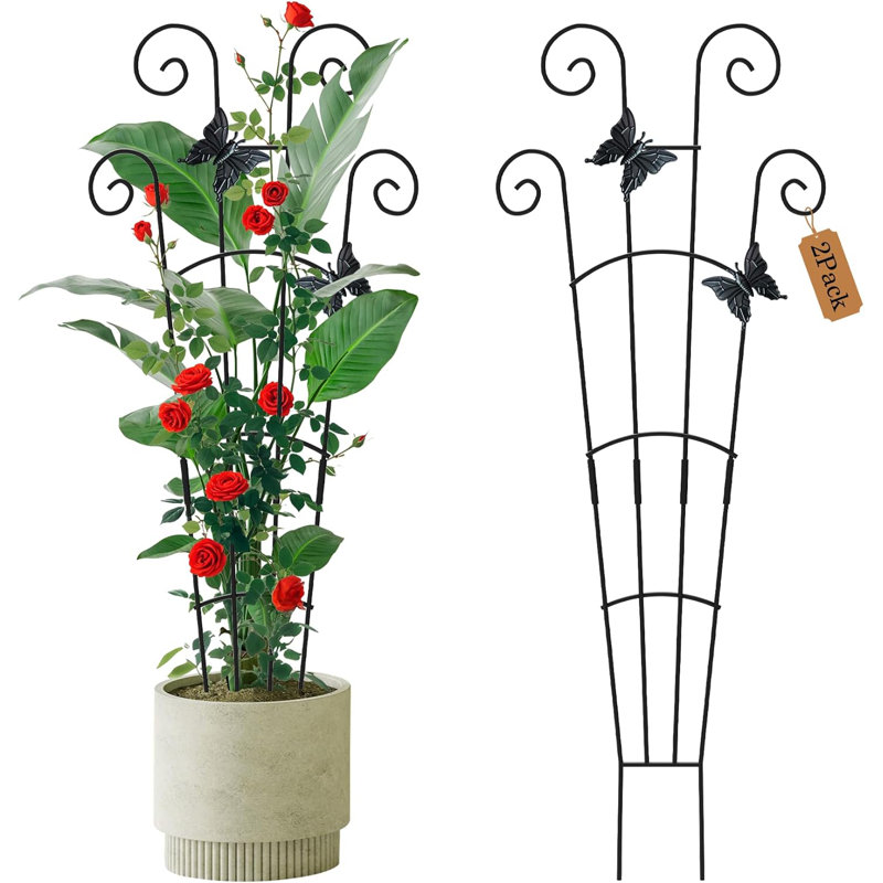 Paquet de 2 treillis de 30 pouces pour plantes grimpantes en pot