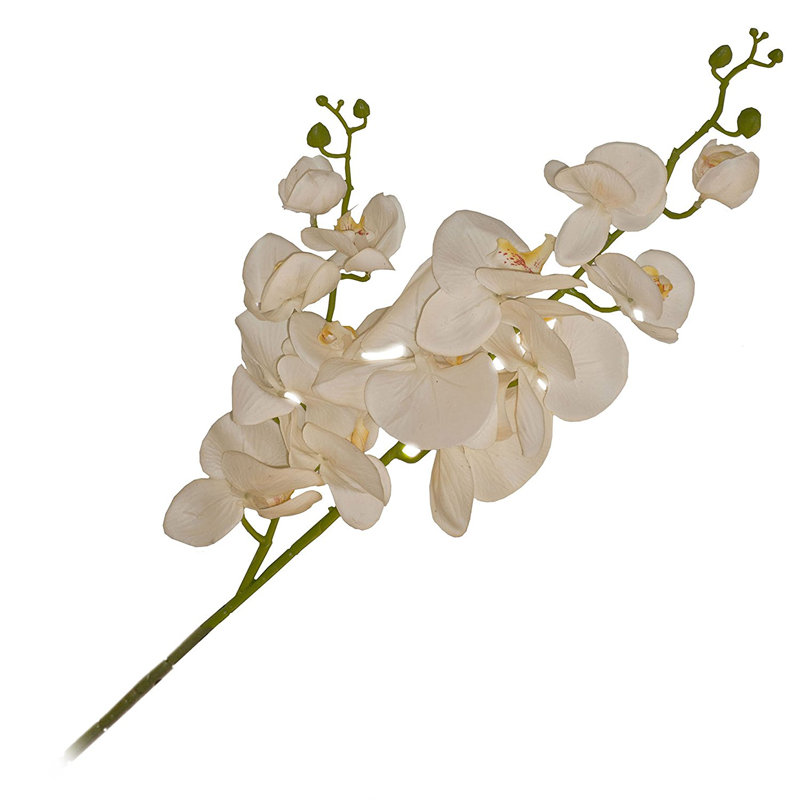 Fleur orchidéee artificielle 2 branches, Crème