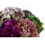 Alba Sedum Floral Arrangement in Gold Pot
