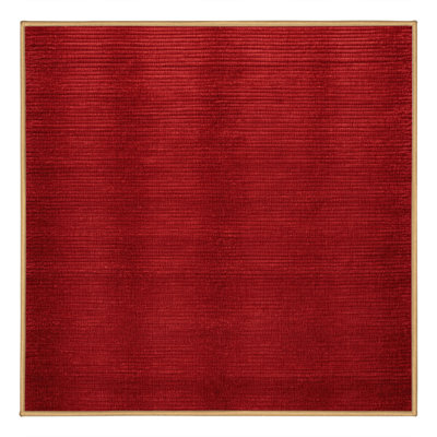 Machine Washable Solid Red Area Rug