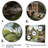 " Thailand Ancient Ruins I "-1485374121-1485374122