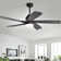 Damecia 52'' Ceiling Fan with LED Lights