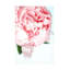Rosé pivoine VII