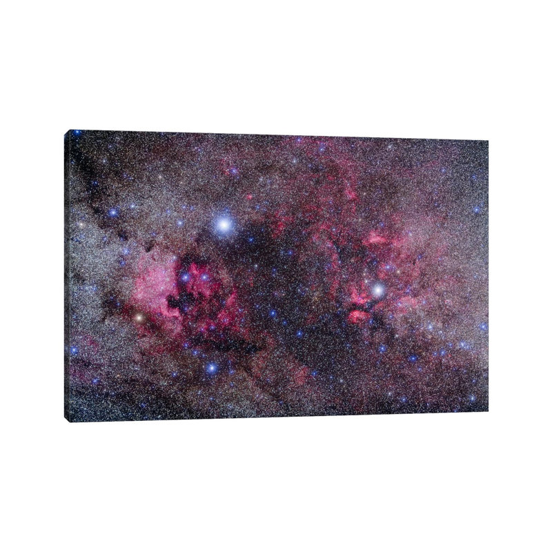 Nebulosity In Cygnus by Alan Dyer - Wrapped Canvas Print, 101.6 cm H x 66.04 cm W x 3.175 cm D