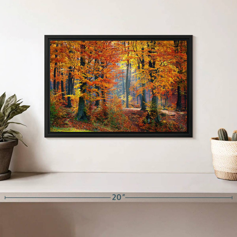 Arbres d'automne, Cadre flottant noir, 13 po x 9 po