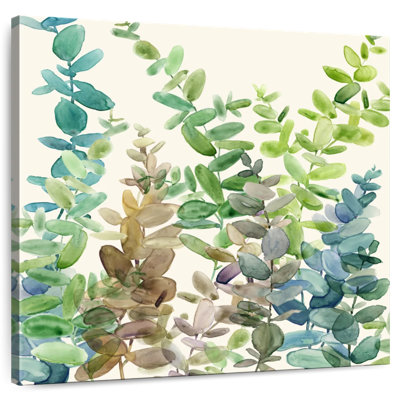 Eucalyptus Harnek