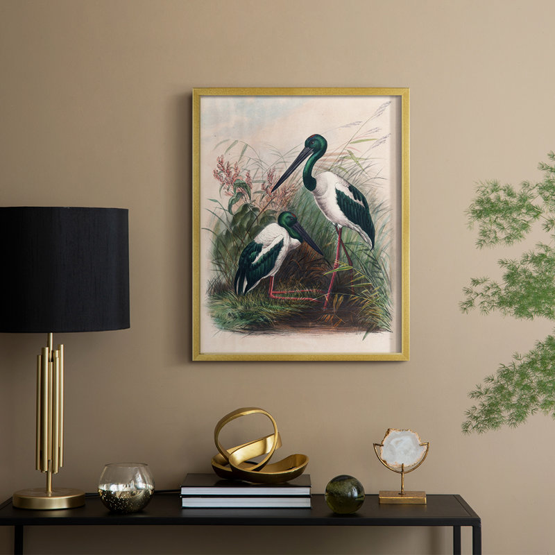 «Vintage Animal Print», reproduction encadrée en bois massif, H 21 po x l 17 po, Doré