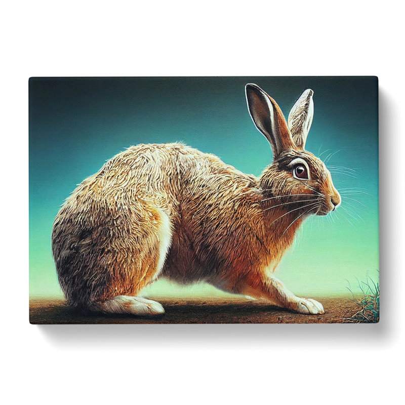 An Adorable Rabbit - Wrapped Canvas, 35cm H x 50cm W x 3cm D